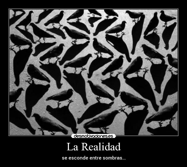 La Realidad - 