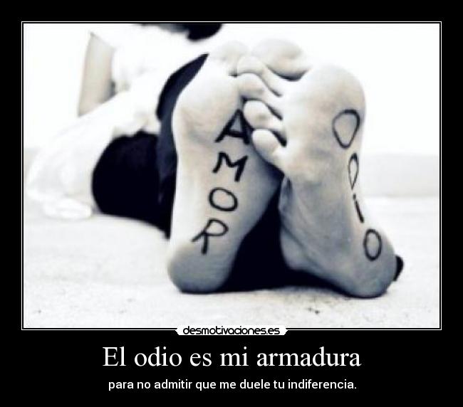 El odio es mi armadura - para no admitir que me duele tu indiferencia.