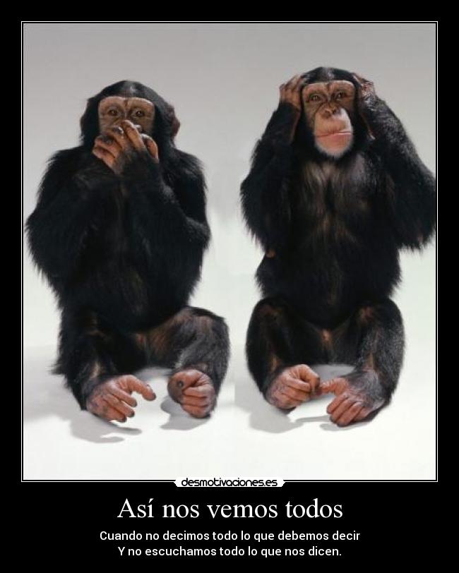 Así nos vemos todos - 