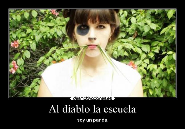carteles escuela panda escuela amigos amor diablo soy panda desmotivaciones