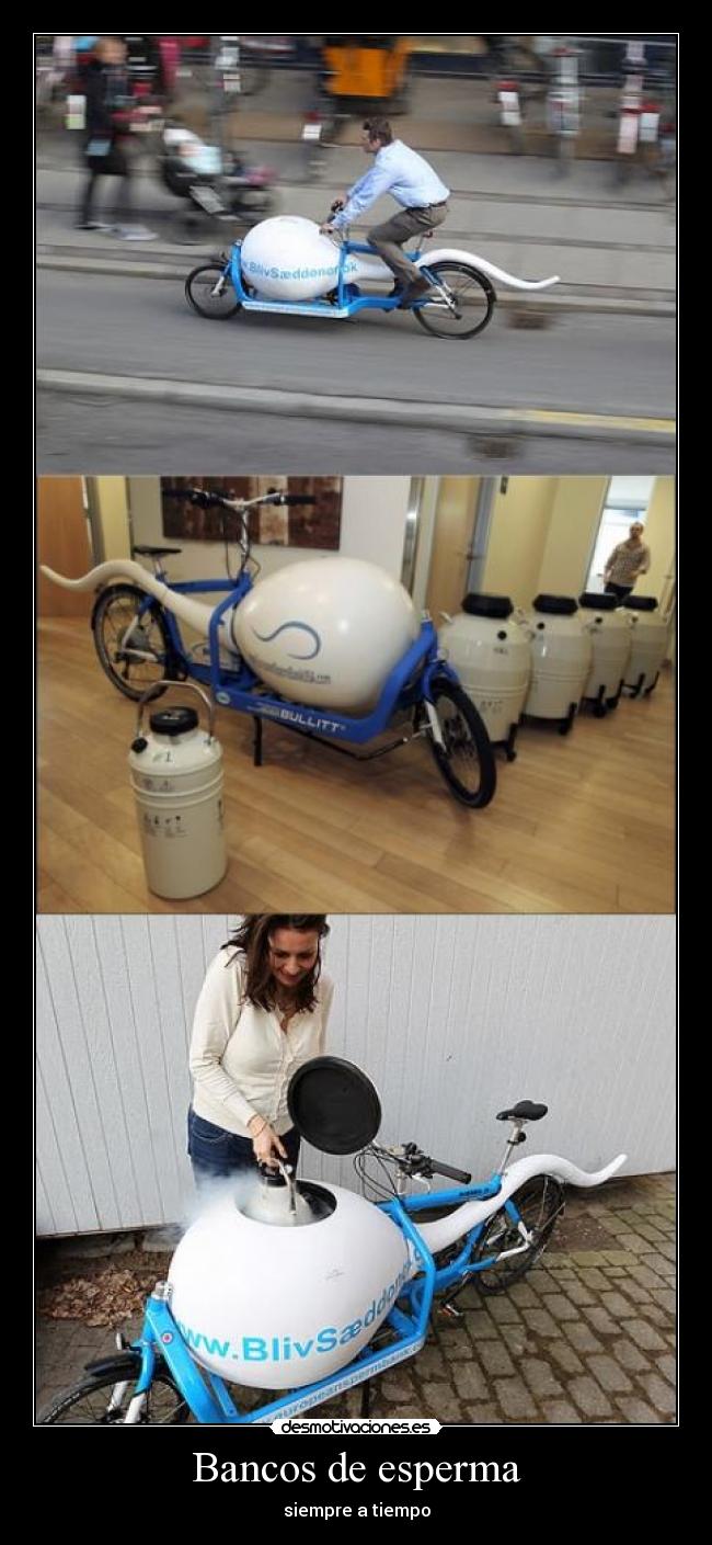 carteles caray jajaja desmotivaciones