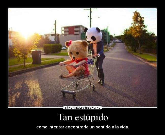 Tan estúpido - 