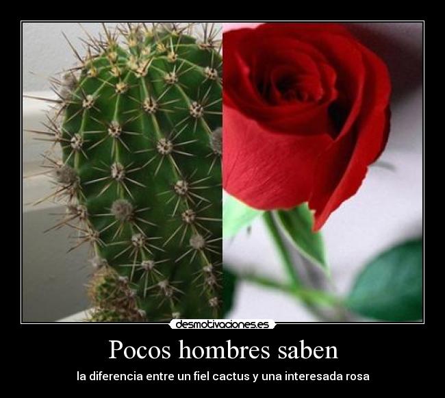 Pocos hombres saben -