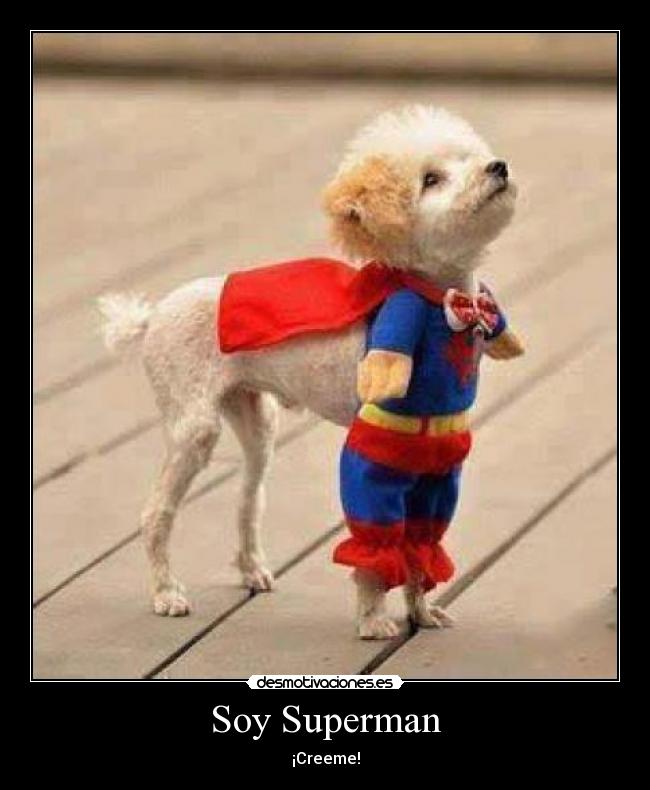 carteles superman perrito tierno que amor carteles vickyb desmotivaciones