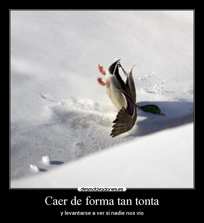 Caer de forma tan tonta - 