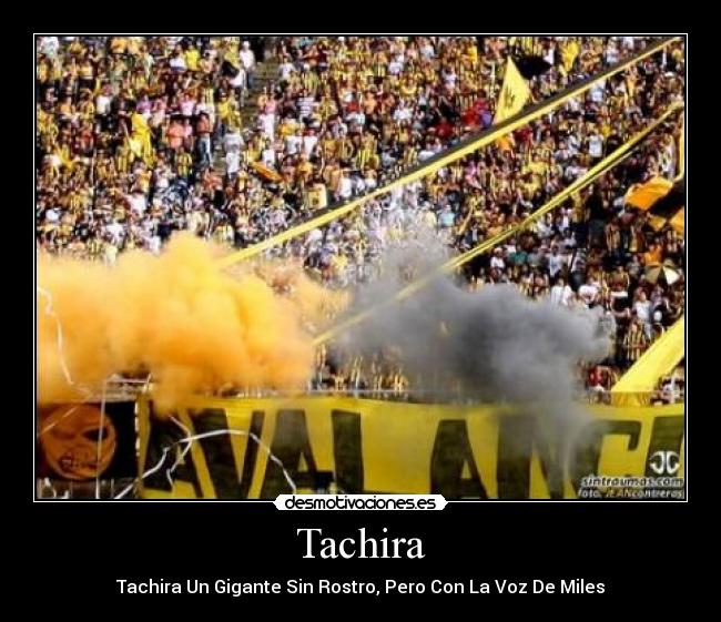Tachira - 