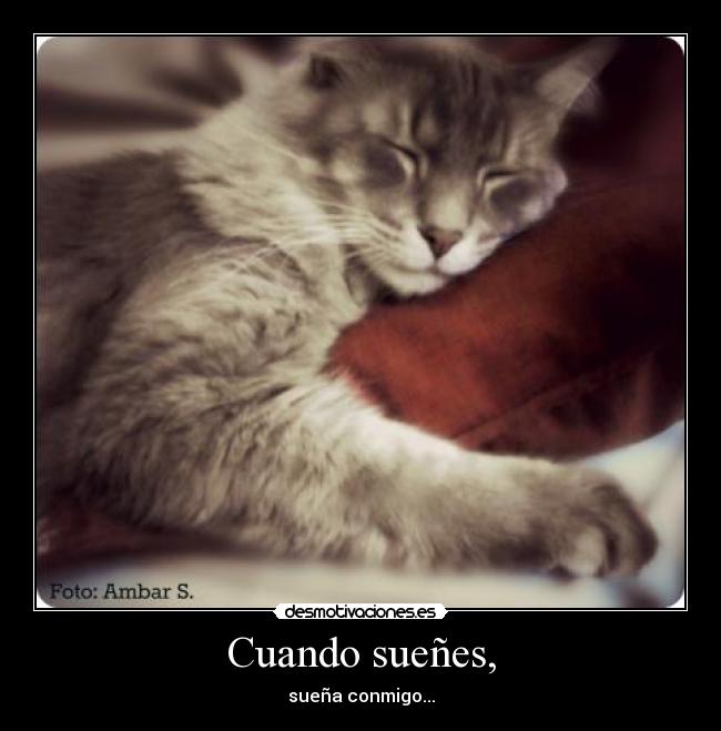 Cuando sueñes, - sueña conmigo...