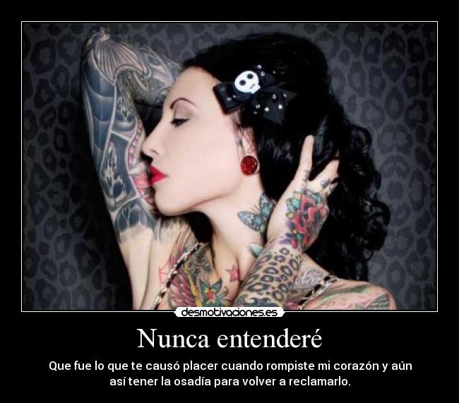 Nunca entenderé - 