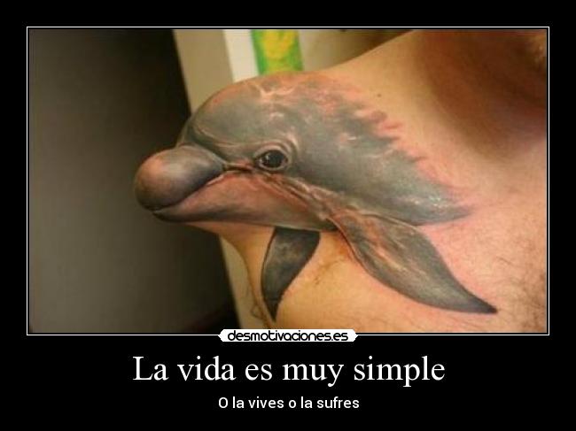 La vida es muy simple - O la vives o la sufres