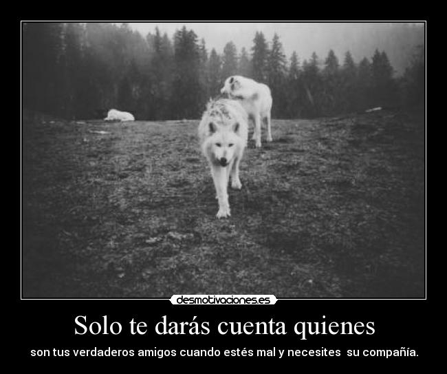 Solo te darás cuenta quienes -