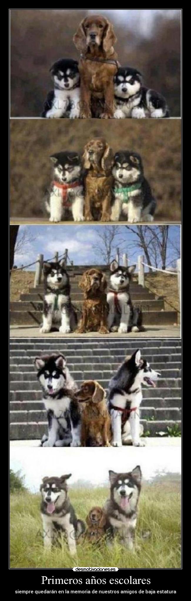 Primeros años escolares - 