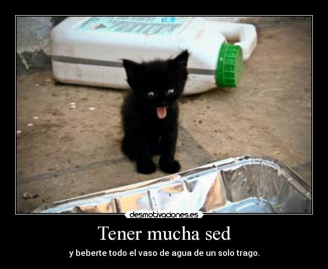 Tener mucha sed - 