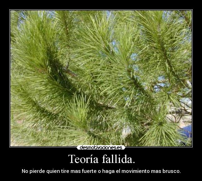 Teoría fallida. - No pierde quien tire mas fuerte o haga el movimiento mas brusco.