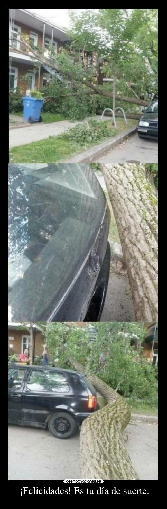 ¡Felicidades! Es tu día de suerte. - 