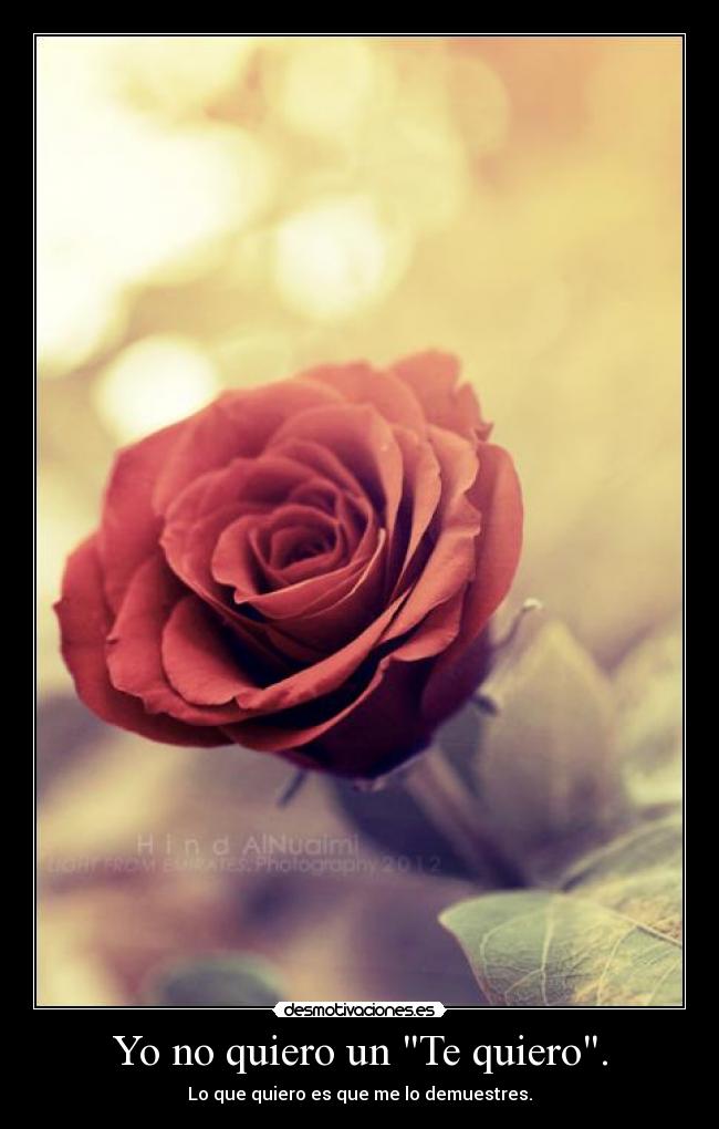 Yo no quiero un Te quiero. - Lo que quiero es que me lo demuestres.