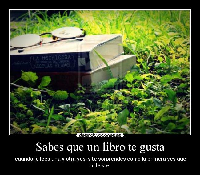 Sabes que un libro te gusta - cuando lo lees una y otra ves, y te sorprendes como la primera ves que lo leíste.