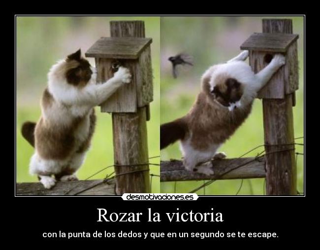 Rozar la victoria - 