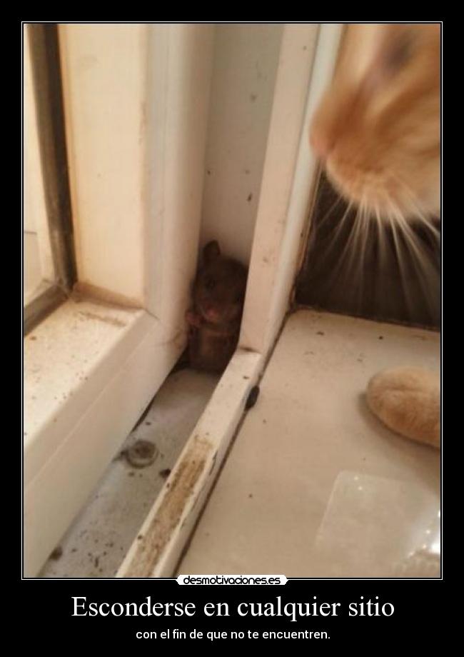 Esconderse en cualquier sitio - 
