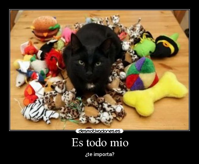 Es todo mio -