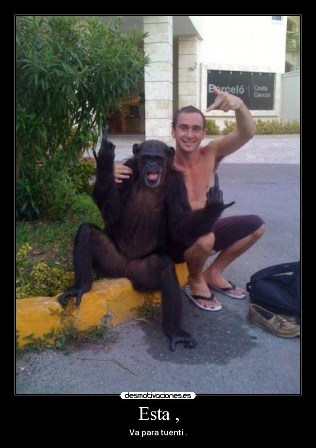 Esta , - Va para tuenti .