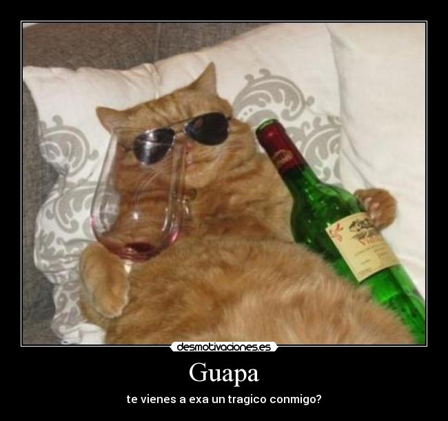 Guapa - te vienes a exa un tragico conmigo?