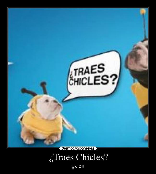 ¿Traes Chicles? - ¡¡ o.O !!