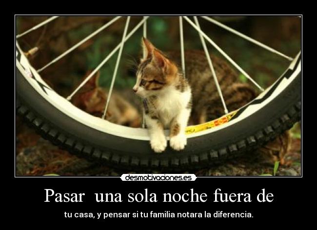 Pasar  una sola noche fuera de - 