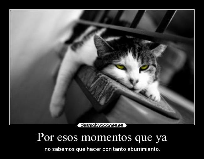 carteles gvg5536 desmotivaciones