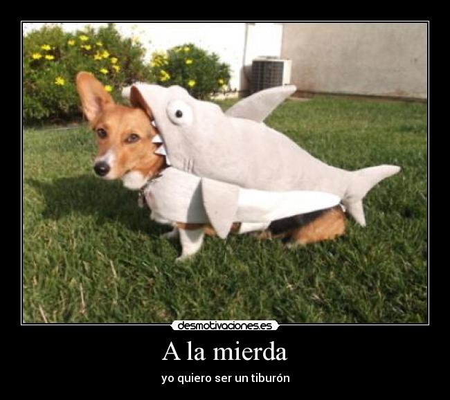 A la mierda - yo quiero ser un tiburón