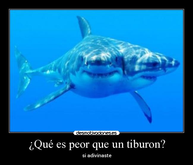 ¿Qué es peor que un tiburon? -