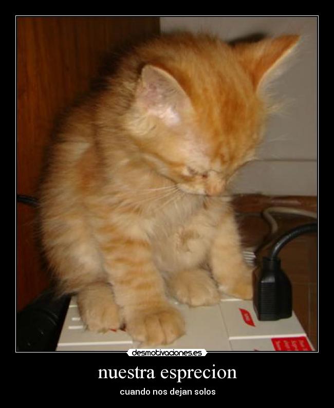 carteles  desmotivaciones