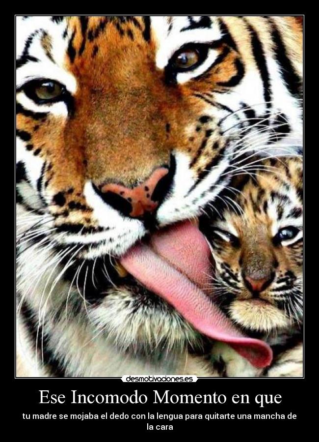 Ese Incomodo Momento en que - tu madre se mojaba el dedo con la lengua para quitarte una mancha de la cara