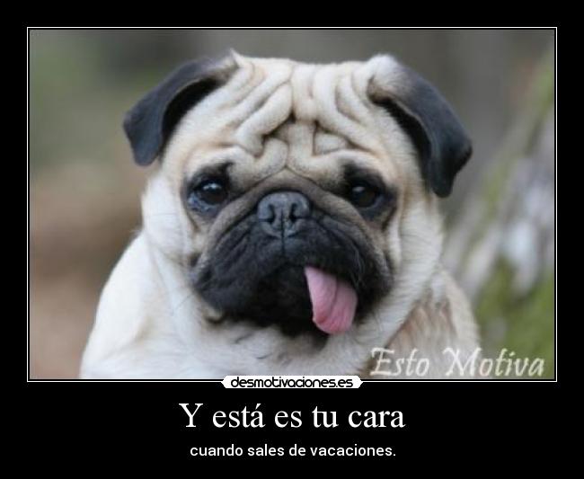 Y está es tu cara - cuando sales de vacaciones.