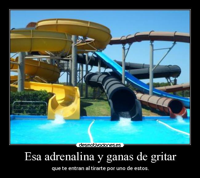 Esa adrenalina y ganas de gritar - 