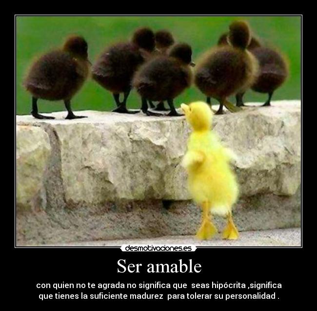 Ser amable - con quien no te agrada no significa que  seas hipócrita ,significa
que tienes la suficiente madurez  para tolerar su personalidad .