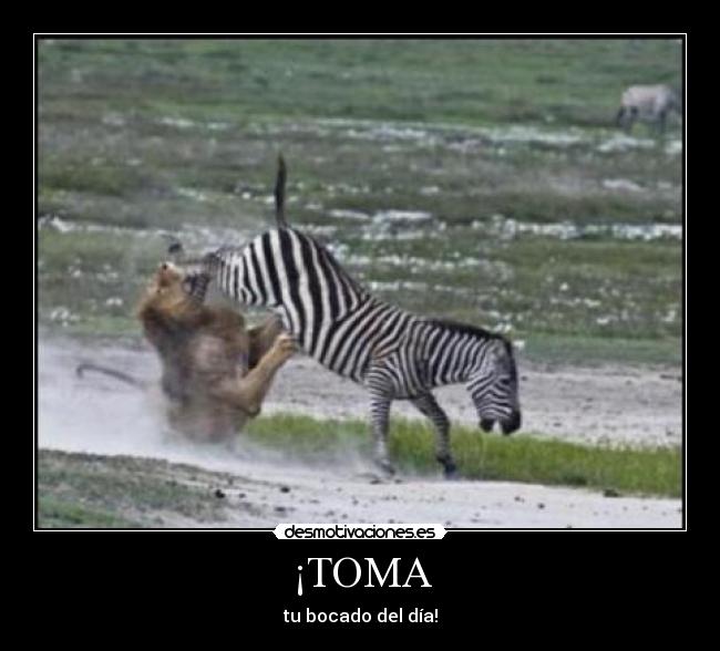 ¡TOMA -