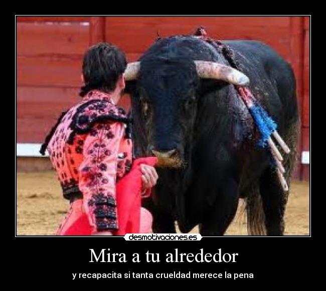 Mira a tu alrededor -