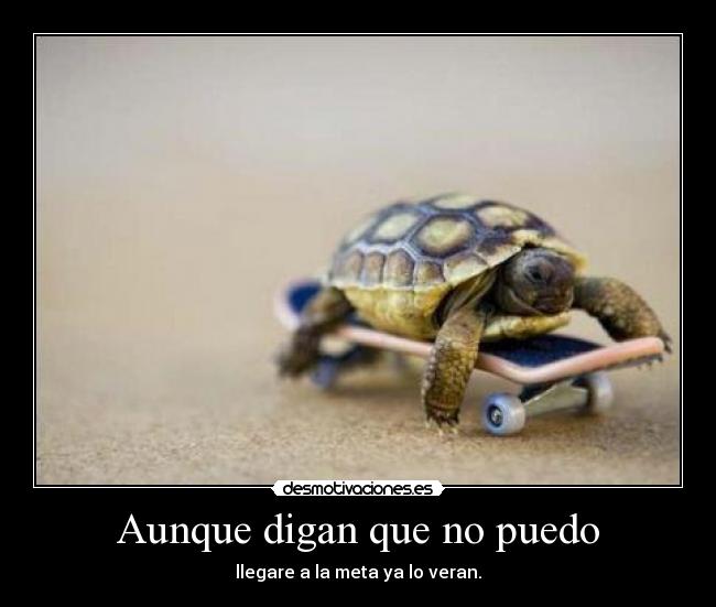 Aunque digan que no puedo -