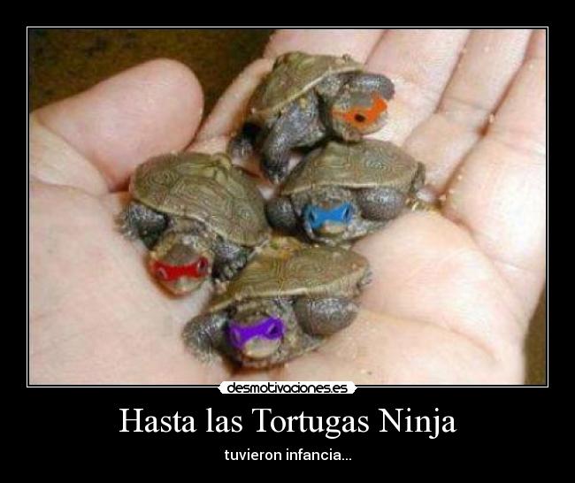 Hasta las Tortugas Ninja - tuvieron infancia...