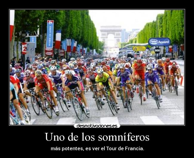 carteles eso como frances ofende ama desmotivaciones