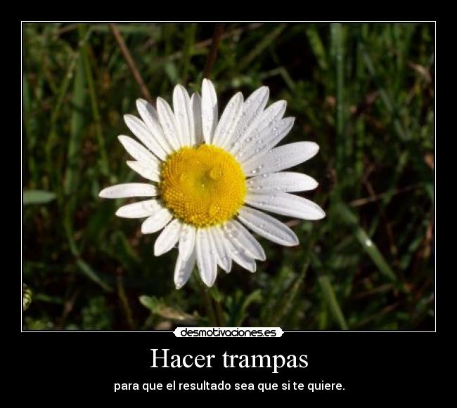 Hacer trampas - para que el resultado sea que si te quiere.