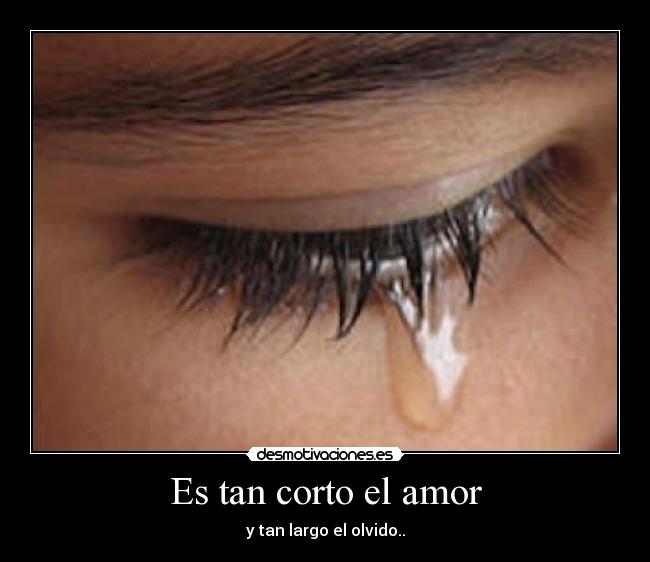 Es tan corto el amor - 