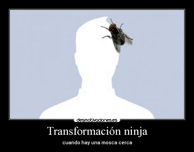 Transformación ninja - cuando hay una mosca cerca