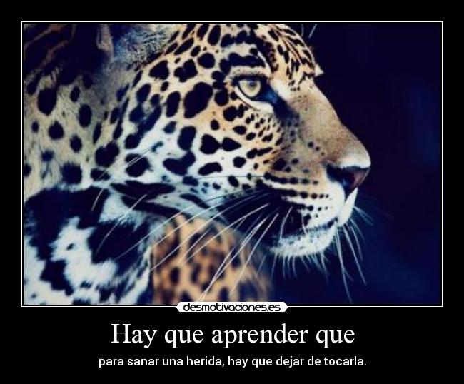 Hay que aprender que - para sanar una herida, hay que dejar de tocarla.