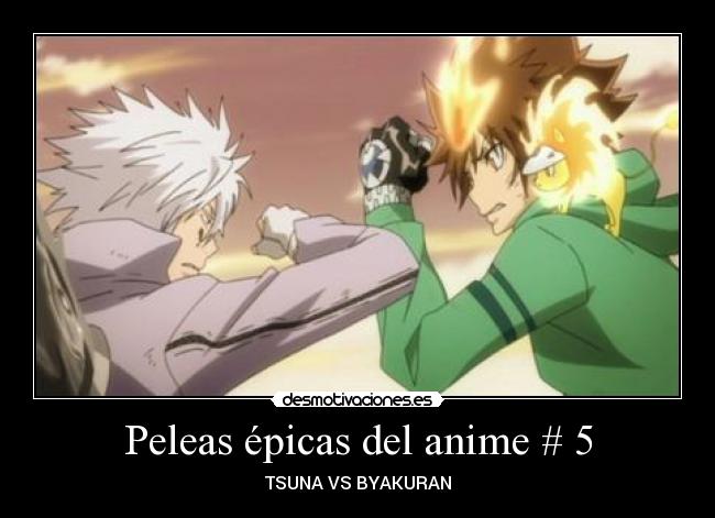 Peleas épicas del anime # 5 - TSUNA VS BYAKURAN