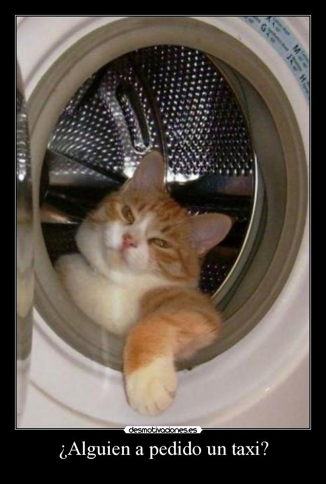 ¿Alguien a pedido un taxi? -