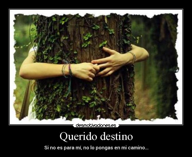 Querido destino - Si no es para mí, no lo pongas en mi camino...