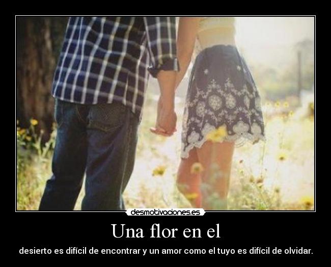 Una flor en el - 