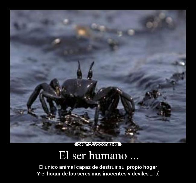 El ser humano ... -