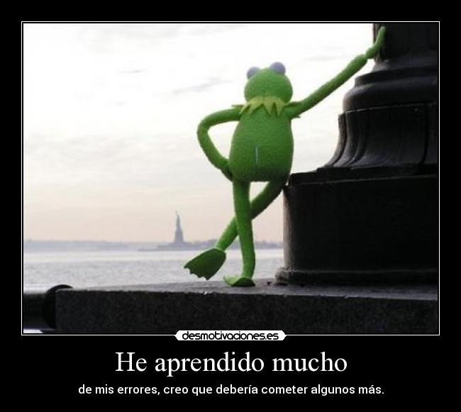 He aprendido mucho - de mis errores, creo que debería cometer algunos más.